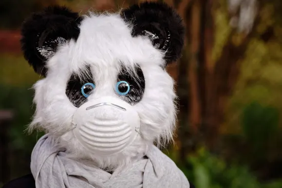 Bitcoza Casino Tacaíocht